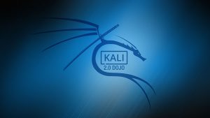 Kali Linux la distribuzione Penetration Testing & Ethical Hacker